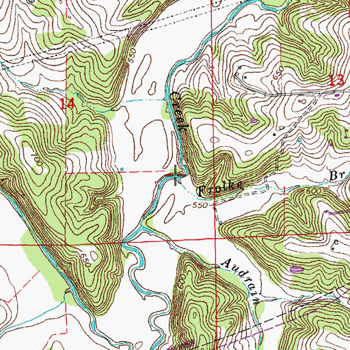 Topographic Map of Frolke Branch, MO