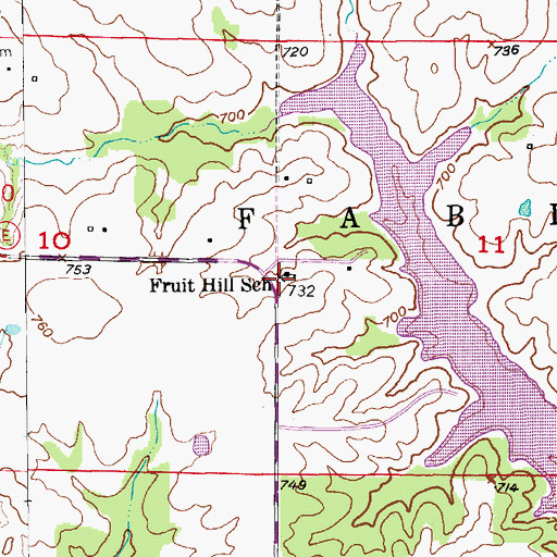 Topographic Map of Fruit Hill School, MO