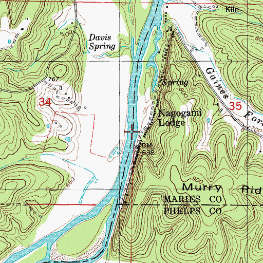 Topographic Map of Gaines Ferry, MO