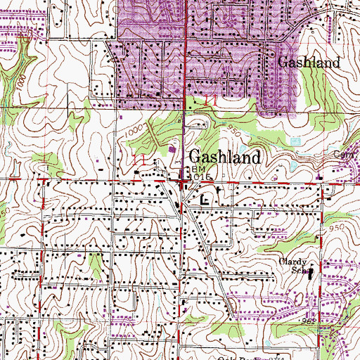 Topographic Map of Gashland, MO