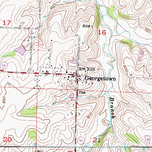 Topographic Map of Georgetown, MO