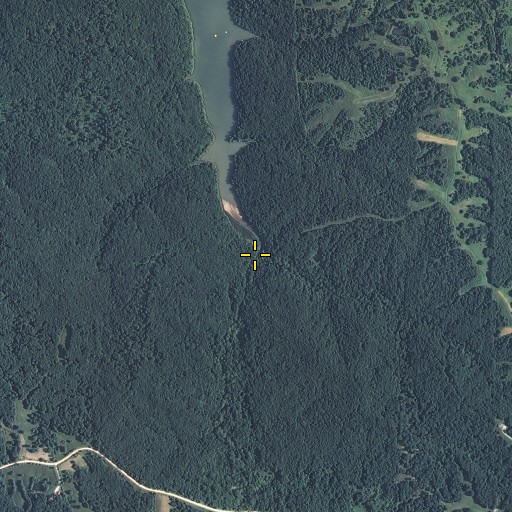Aerial/Satellite Image of Gill Branch, MO