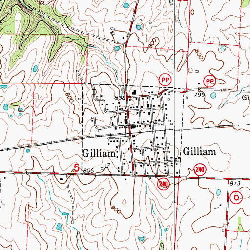 Topographic Map of Gilliam, MO