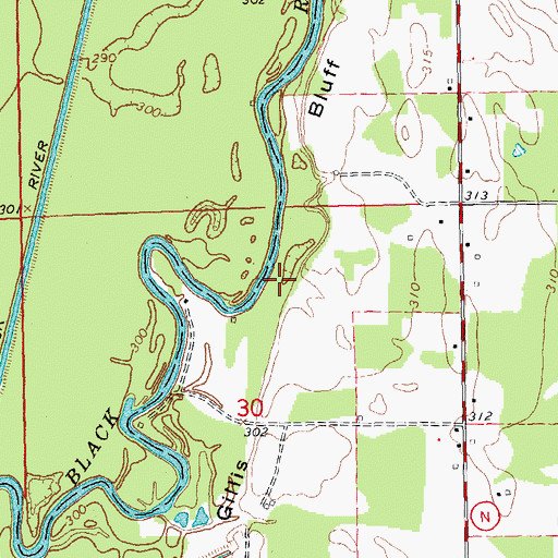 Topographic Map of Gillis Bluff, MO