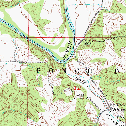 Topographic Map of Goff Creek, MO