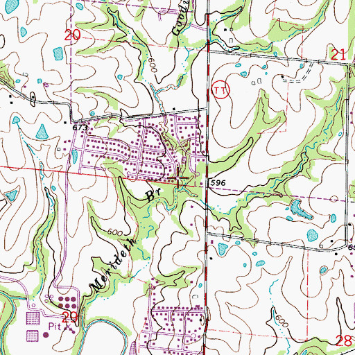 Topographic Map of Goodin Branch, MO