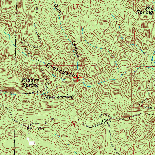 Topographic Map of Gum Hollow, AR