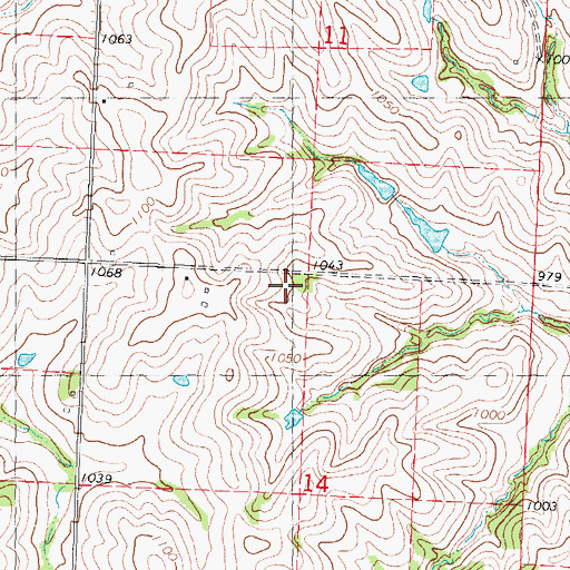 Topographic Map of Goodwill School, MO