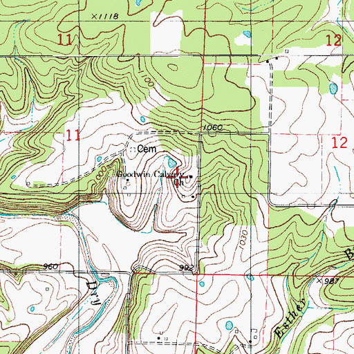 Topographic Map of Goodwin Calvary Church, MO