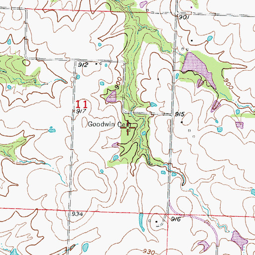 Topographic Map of Goodwin Cemetery, MO