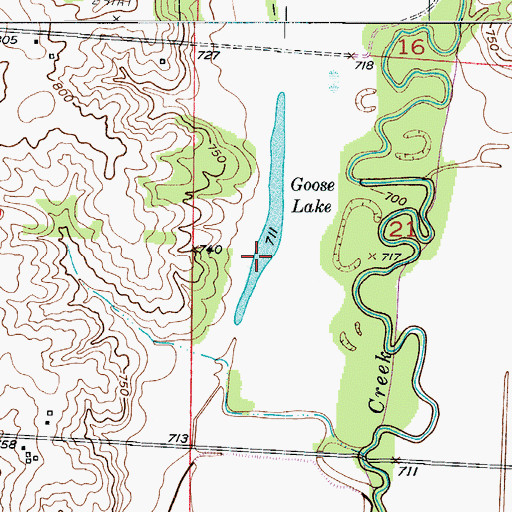 Topographic Map of Goose Lake, MO