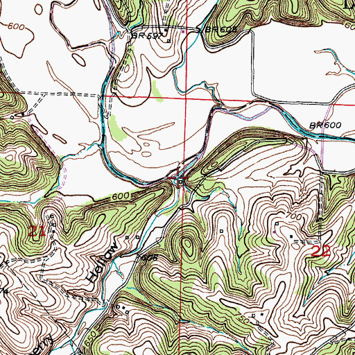 Topographic Map of Gooseberry Hollow, MO