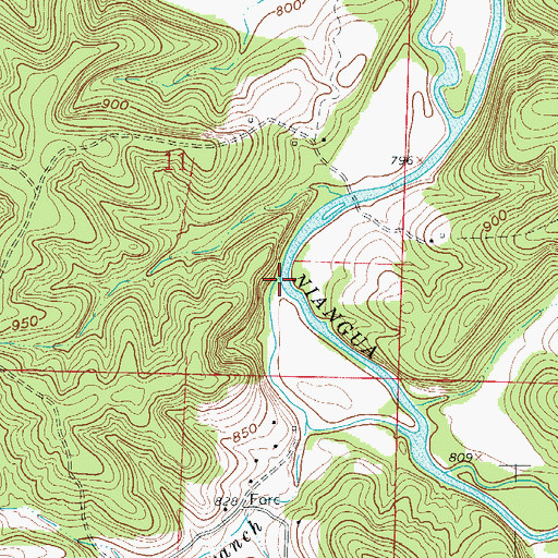 Topographic Map of Gooseneck Branch, MO