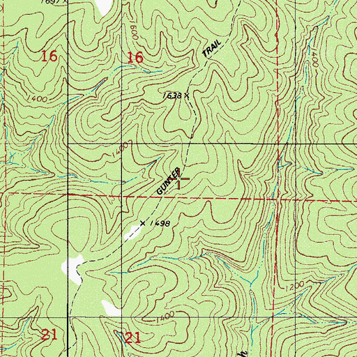 Topographic Map of Gunter Trail, AR