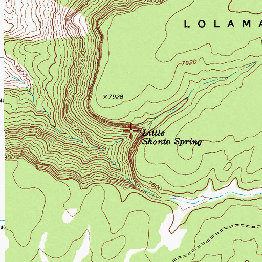Topographic Map of Little Shonot Spring, AZ