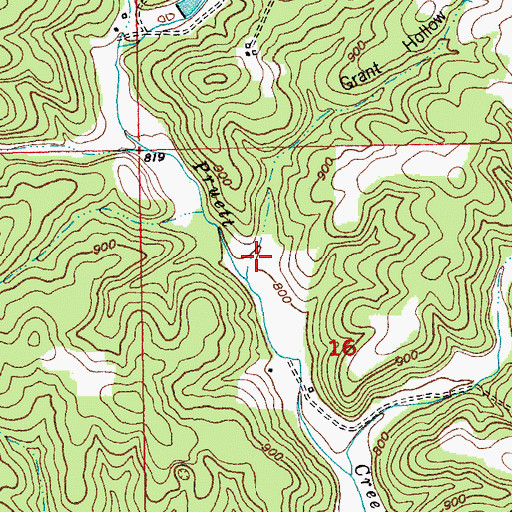 Topographic Map of Grant Hollow, MO