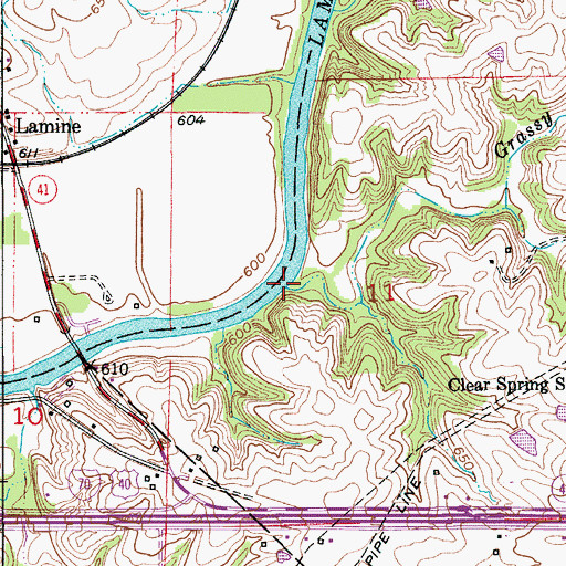 Topographic Map of Grassy Branch, MO
