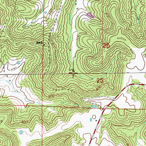 Topographic Map of Grassy Creek, MO