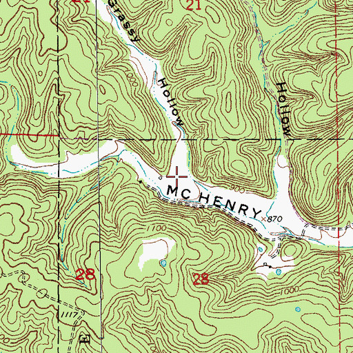 Topographic Map of Grassy Hollow, MO