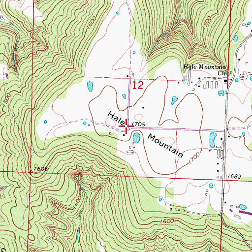 Topographic Map of Hale Mountain, AR