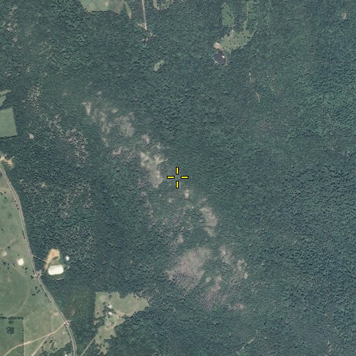 Aerial/Satellite Image of Graves Mountain, MO