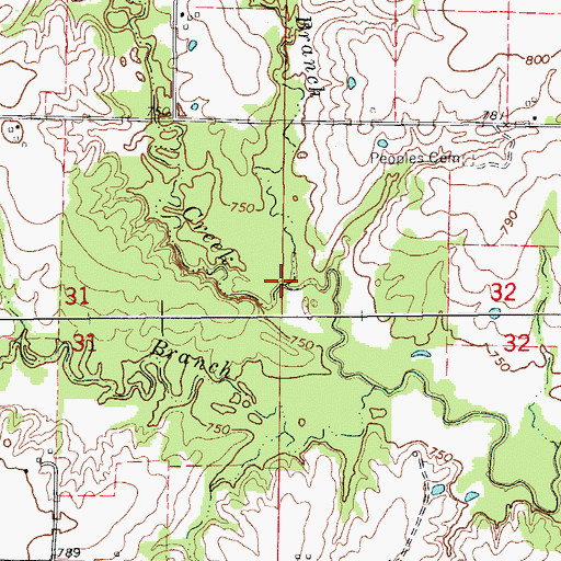 Topographic Map of Gray Branch, MO