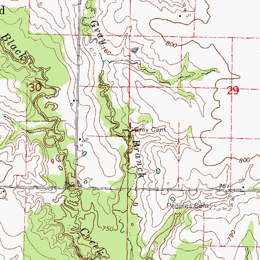 Topographic Map of Gray Cemetery, MO