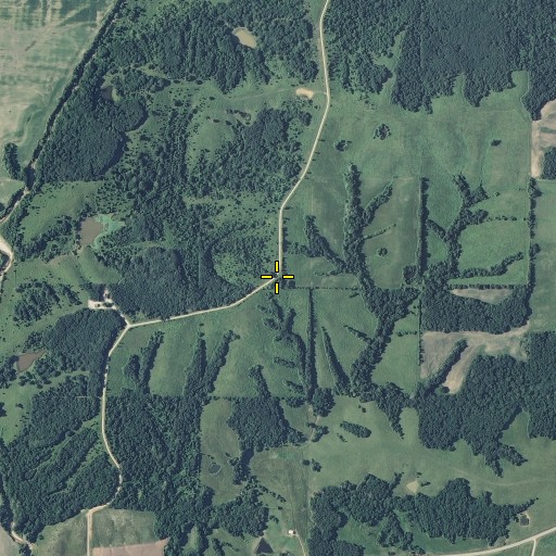 Aerial/Satellite Image of Greenwood School (historical), MO