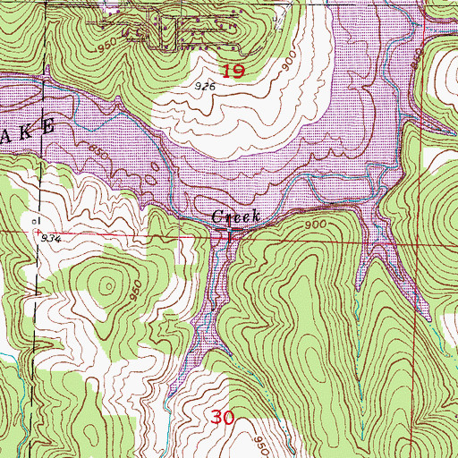 Topographic Map of Grider Branch, MO