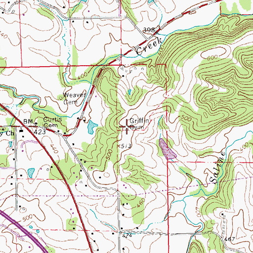 Topographic Map of Griffin Cemetery, MO
