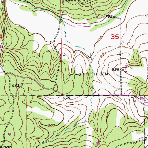 Topographic Map of Griffith Cemetery, MO