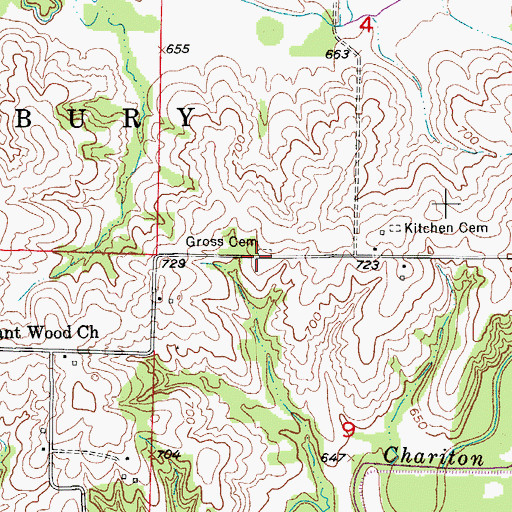 Topographic Map of Gross Cemetery, MO