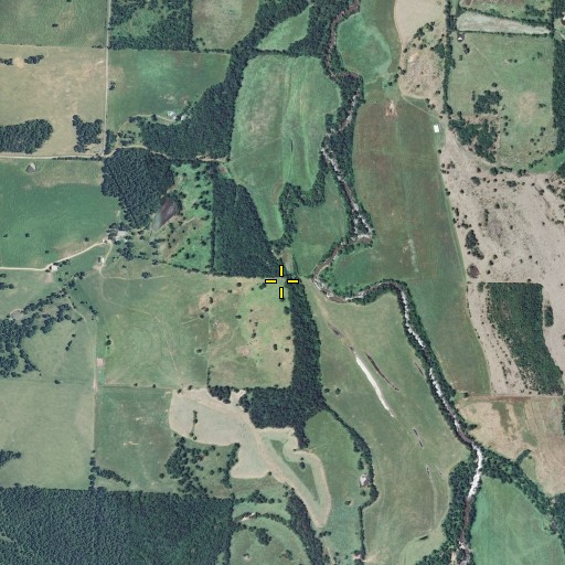 Aerial/Satellite Image of Guffy Bluff, MO
