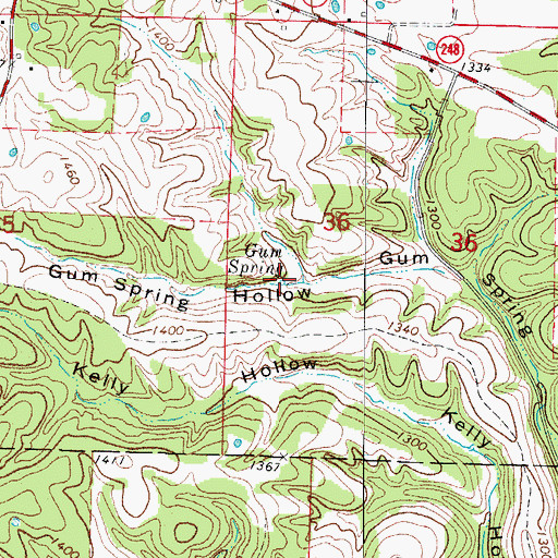 Topographic Map of Gum Spring, MO