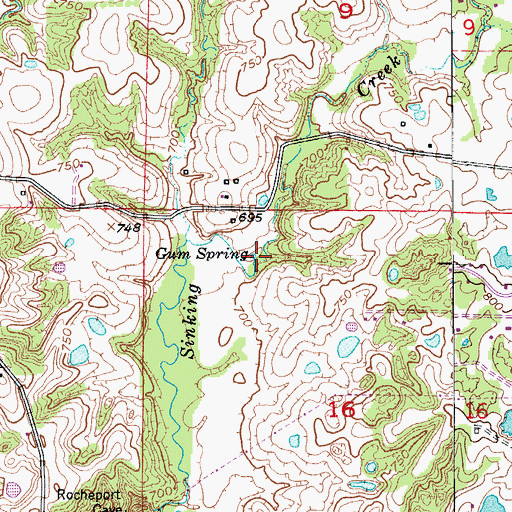Topographic Map of Gum Spring, MO