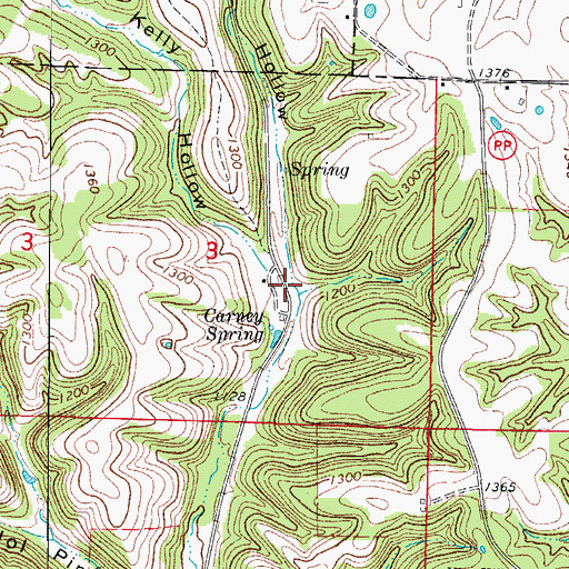 Topographic Map of Gum Spring Hollow, MO