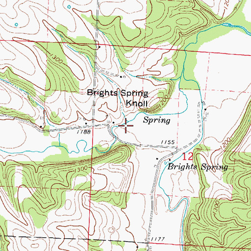 Topographic Map of Gunter Hollow, MO