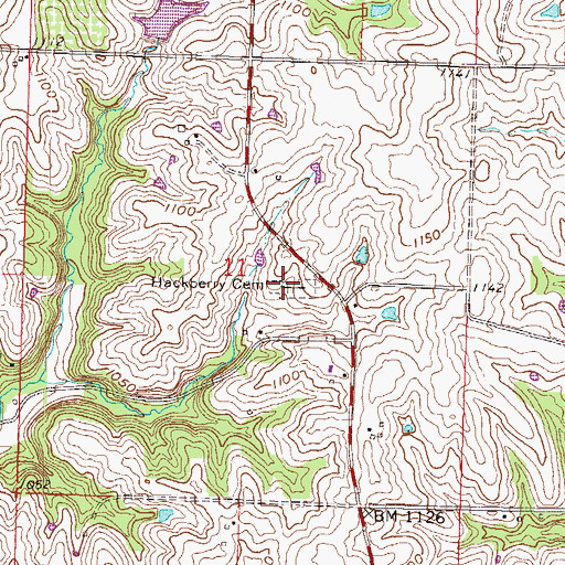 Topographic Map of Hackberry Cemetery, MO