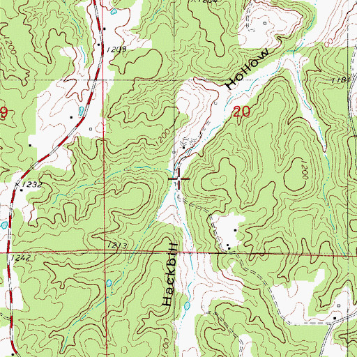 Topographic Map of Hackbill Hollow, MO