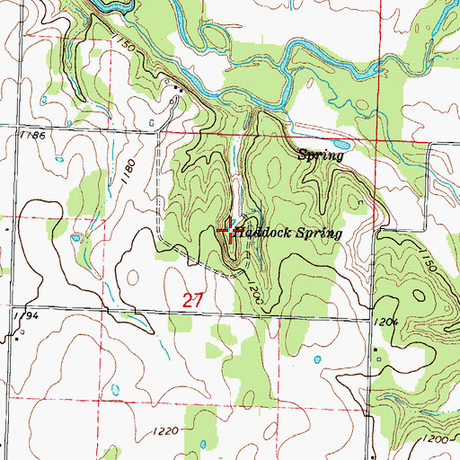 Topographic Map of Haddock Spring, MO