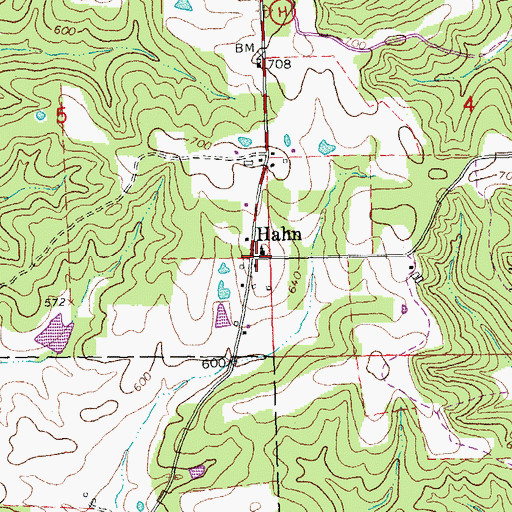 Topographic Map of Hahn, MO