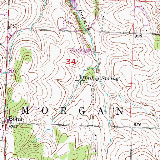 Topographic Map of Hailey Spring, MO