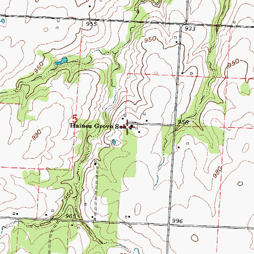 Topographic Map of Haines Grove School (historical), MO