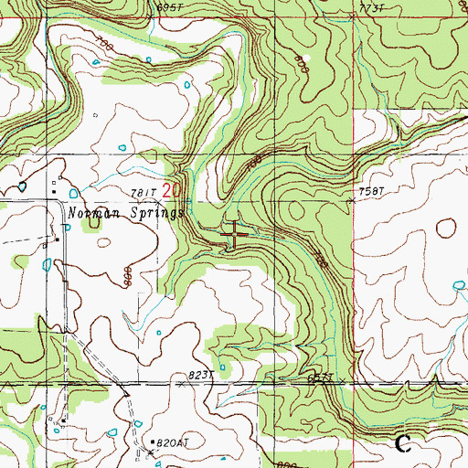 Topographic Map of Hall Branch, MO
