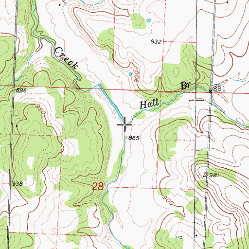 Topographic Map of Hall Branch, MO