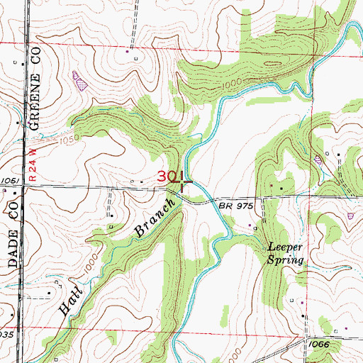Topographic Map of Hall Branch, MO