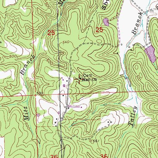 Topographic Map of Hall Church, MO