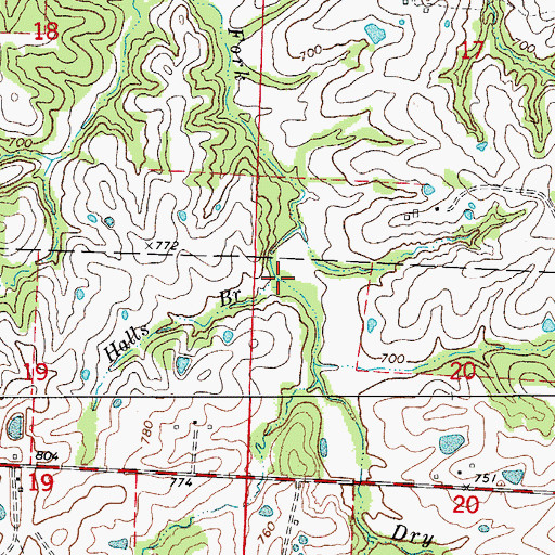 Topographic Map of Halls Branch, MO