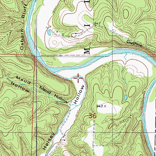Topographic Map of Halsey Hollow, MO