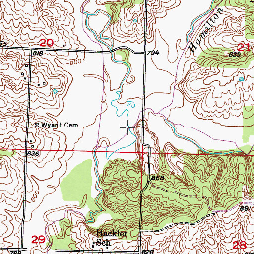 Topographic Map of Hamilton Branch, MO